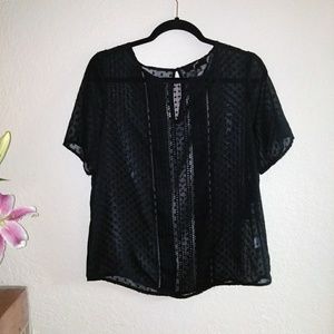 ~GNW Sheer Black Top. ~